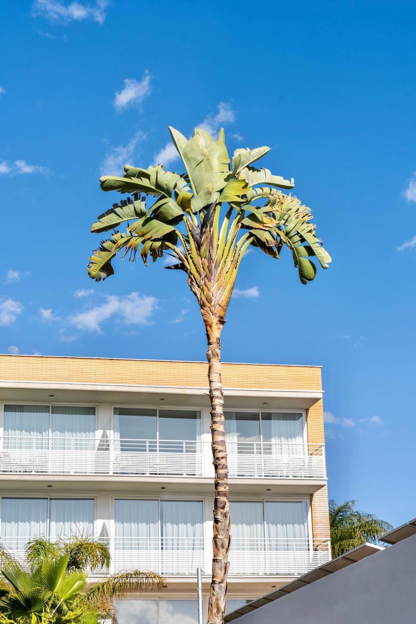 Altafulla Mar Hotel Exterior foto